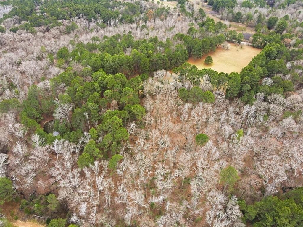 10 acres in Wood County - photo 28