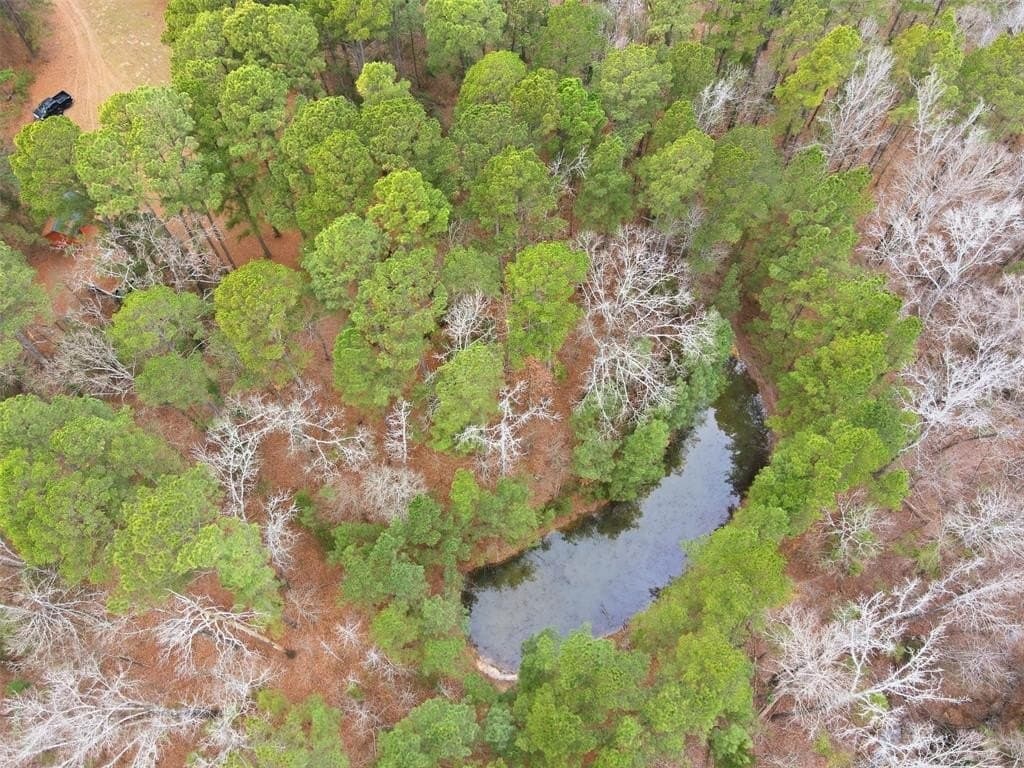 10 acres in Wood County - photo 26