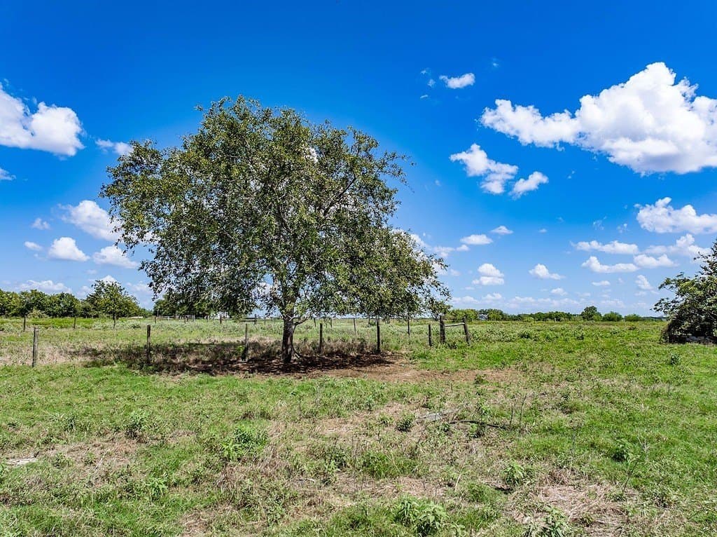 38 acres in Colorado County - photo 17