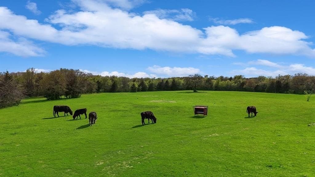24.47 acres in Cooke County - photo 32