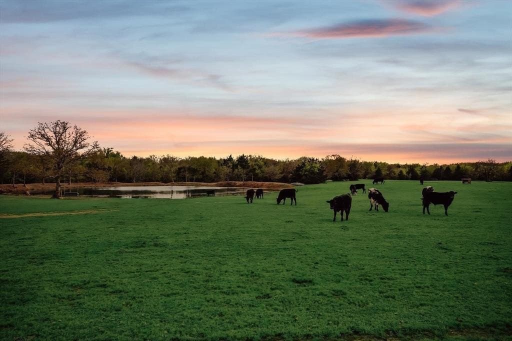 24.47 acres in Cooke County - photo 31