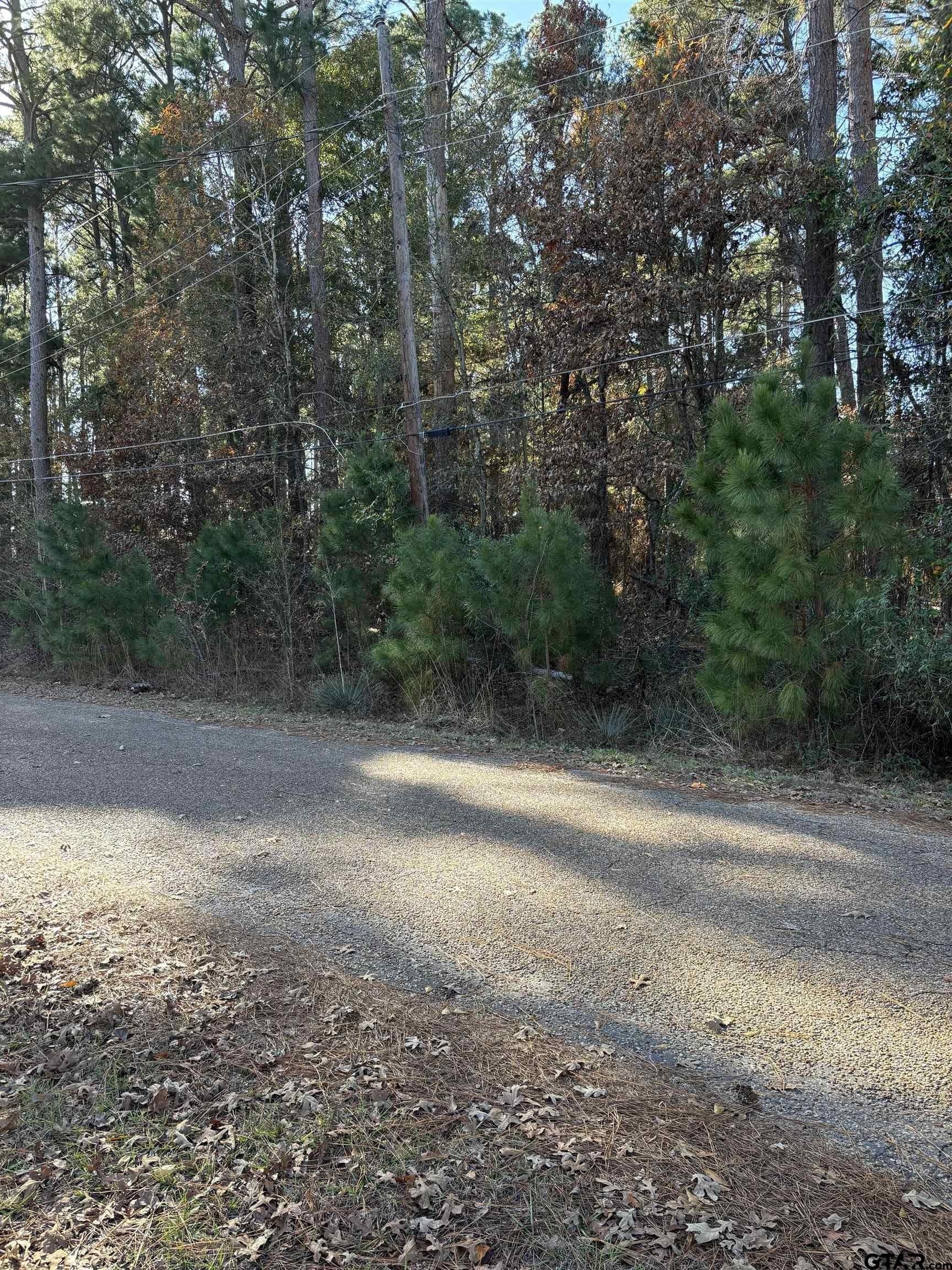 0.21 acres in Van Zandt County - photo 2