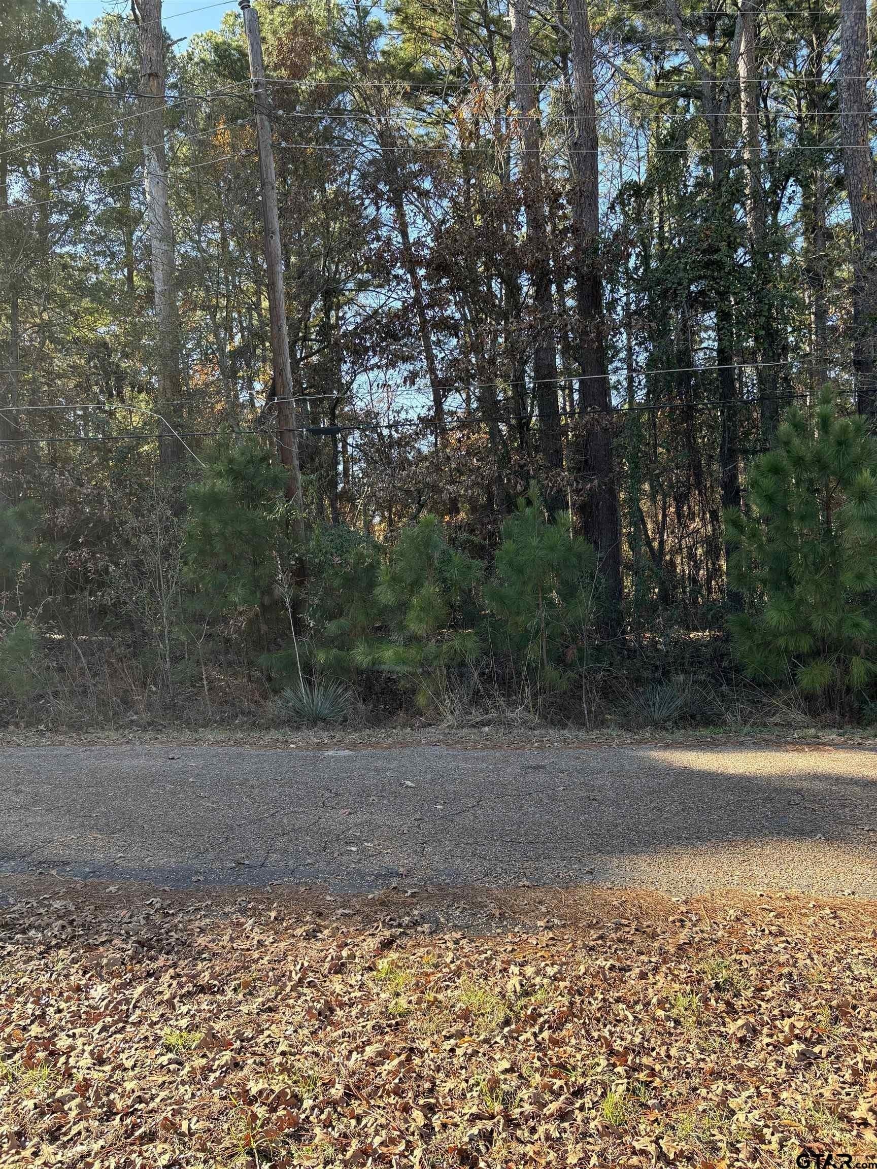 0.21 acres in Van Zandt County - photo 3
