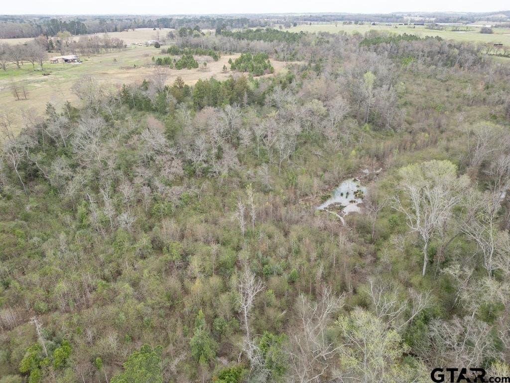 94.7 acres in Upshur County - photo 16