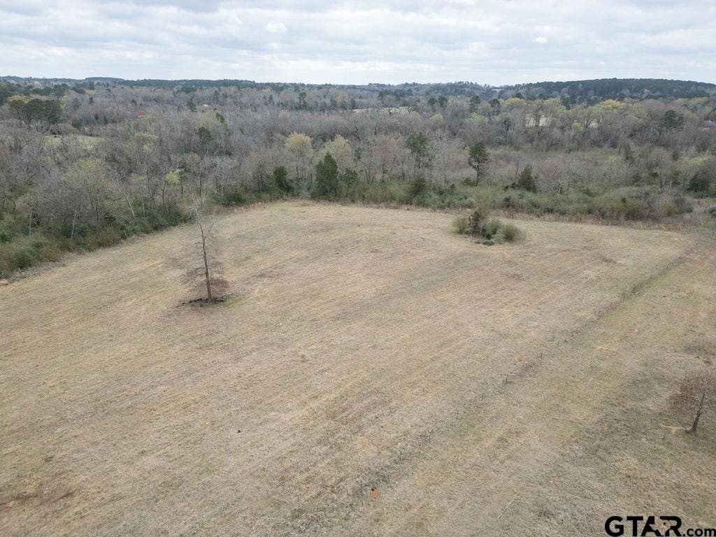 94.7 acres in Upshur County - photo 10