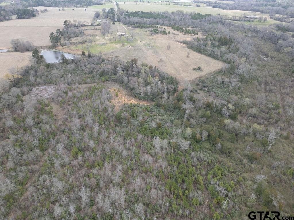 94.7 acres in Upshur County - photo 14