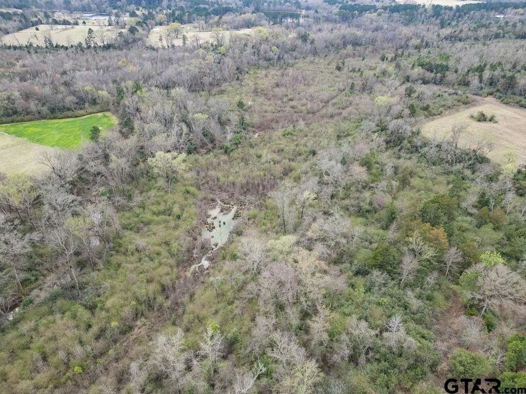 94.7 acres in Upshur County - photo 9