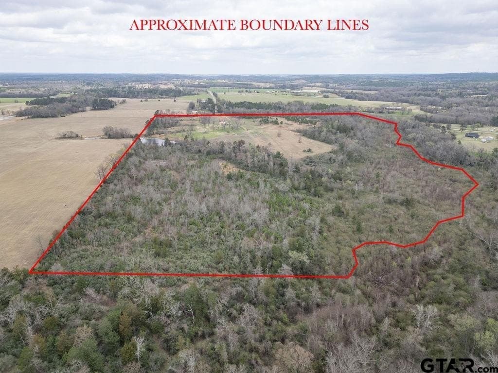 94.7 acres in Upshur County - photo 19
