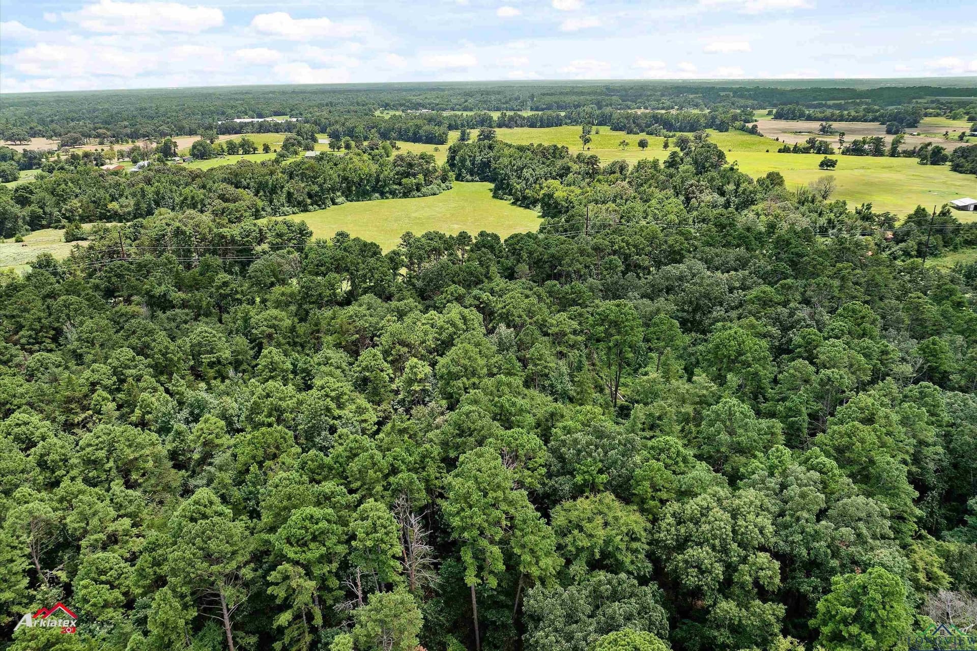 41.67 acres in Camp County - photo 8