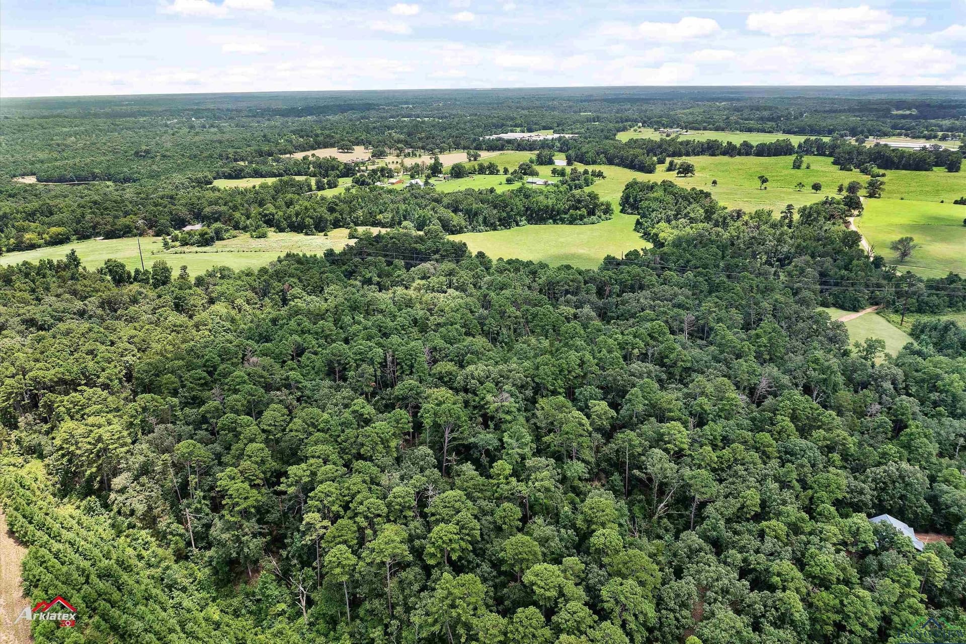 41.67 acres in Camp County - photo 7