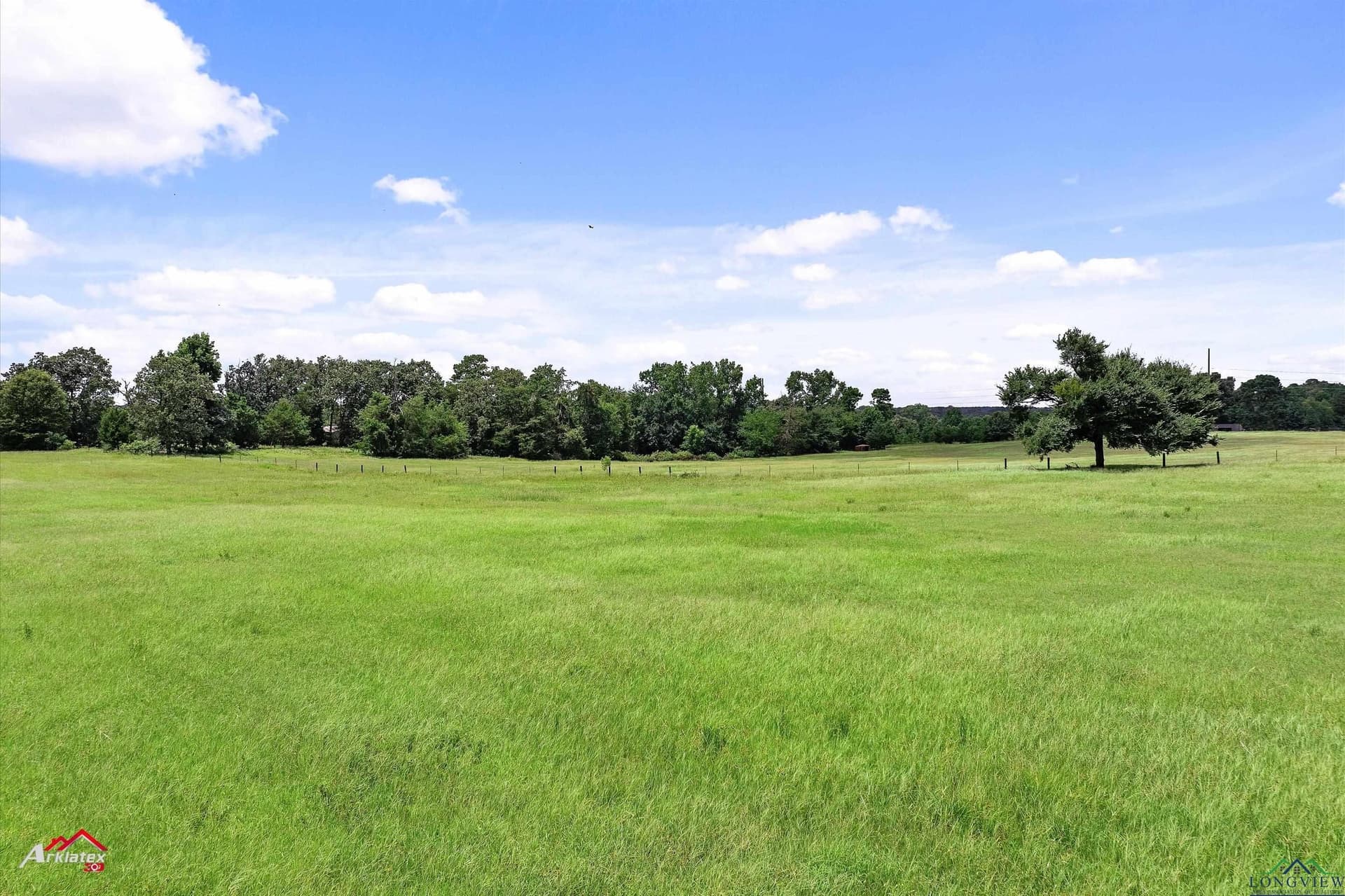 41.67 acres in Camp County - photo 14