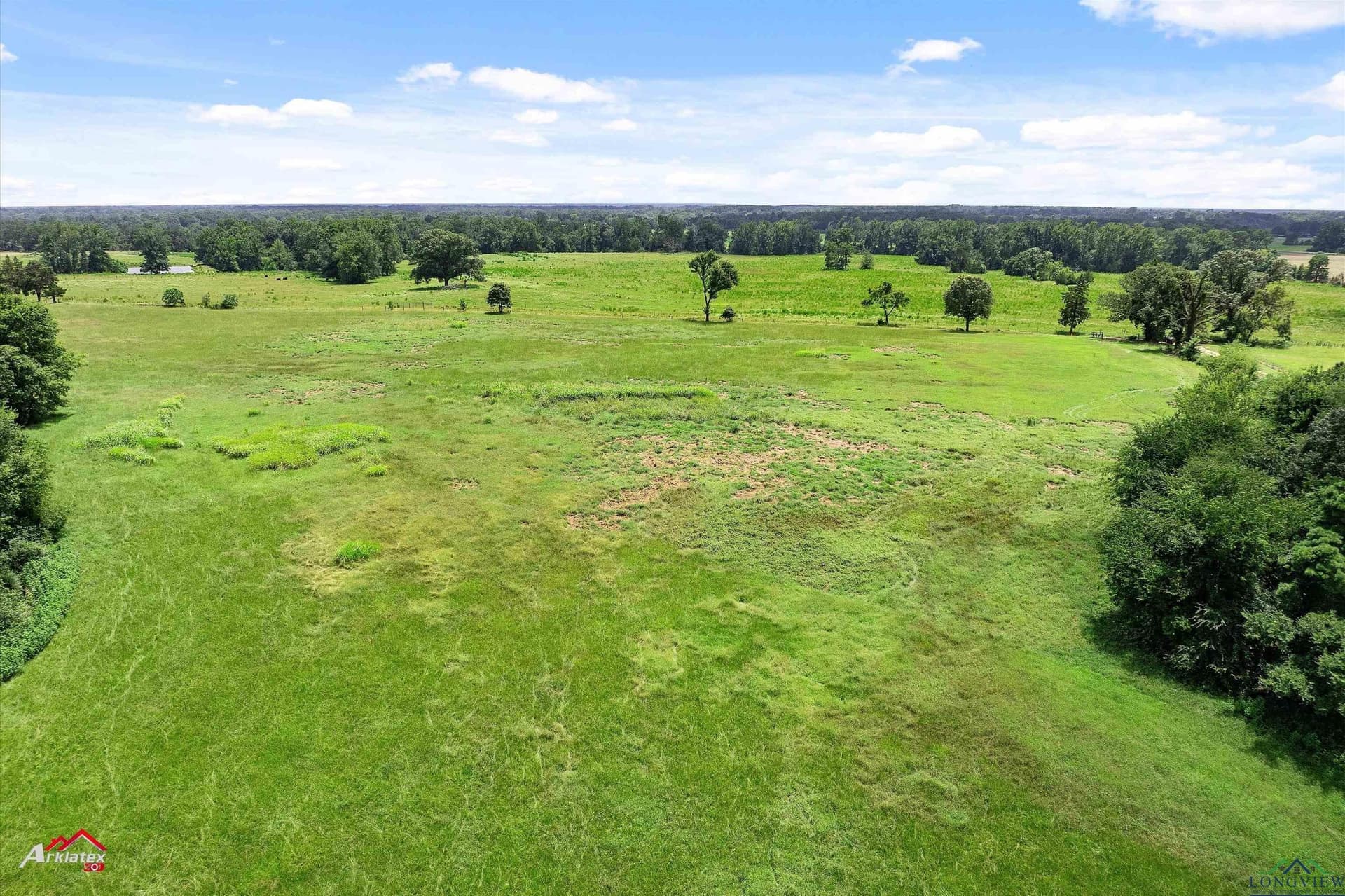 41.67 acres in Camp County - photo 12