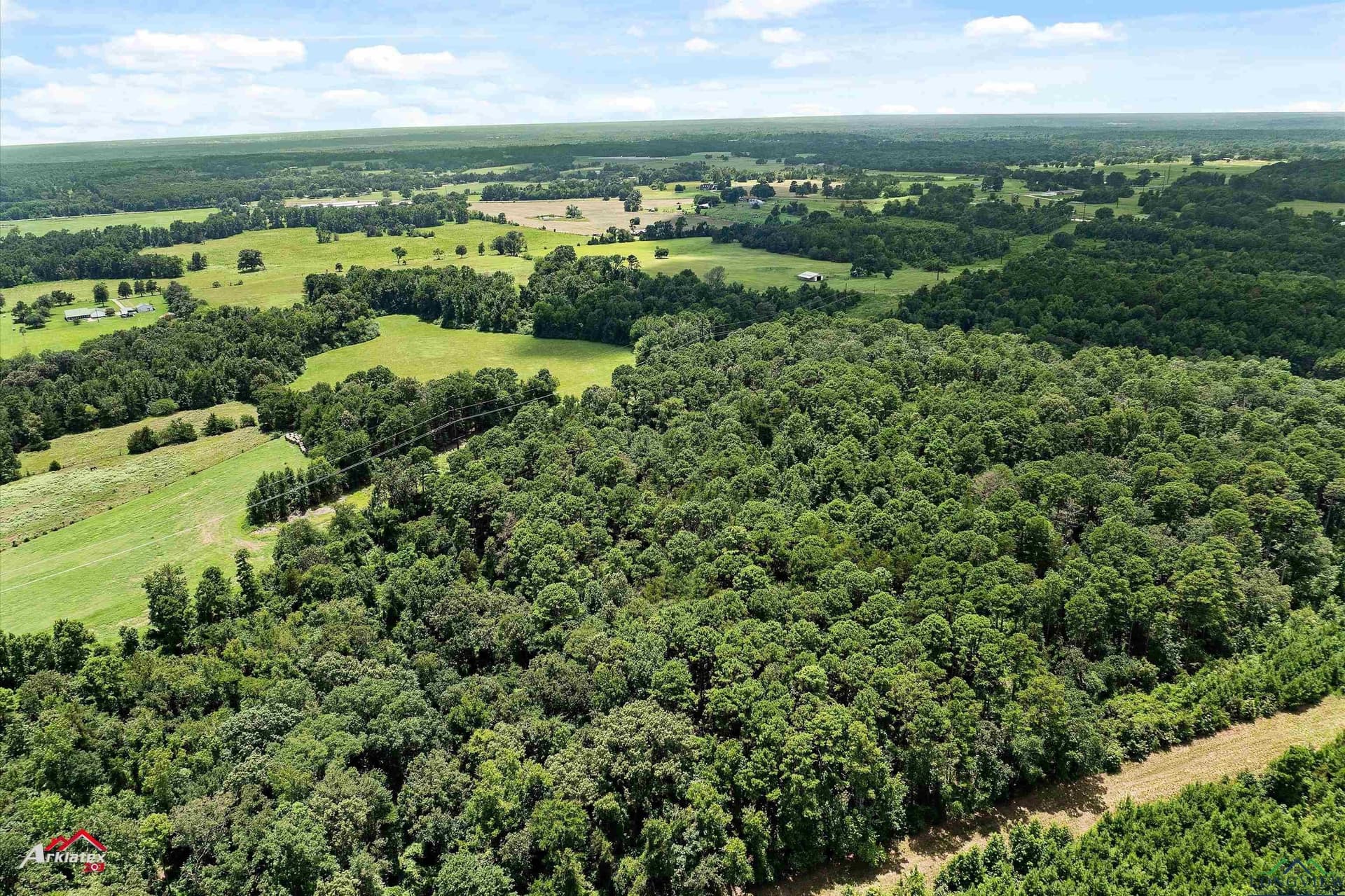 41.67 acres in Camp County - photo 6