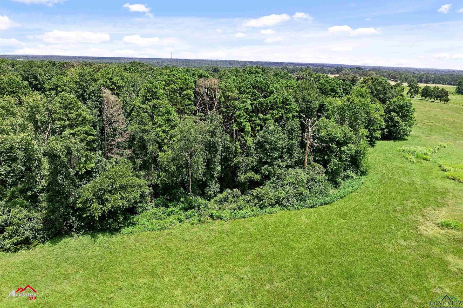 41.67 acres in Camp County - photo 13