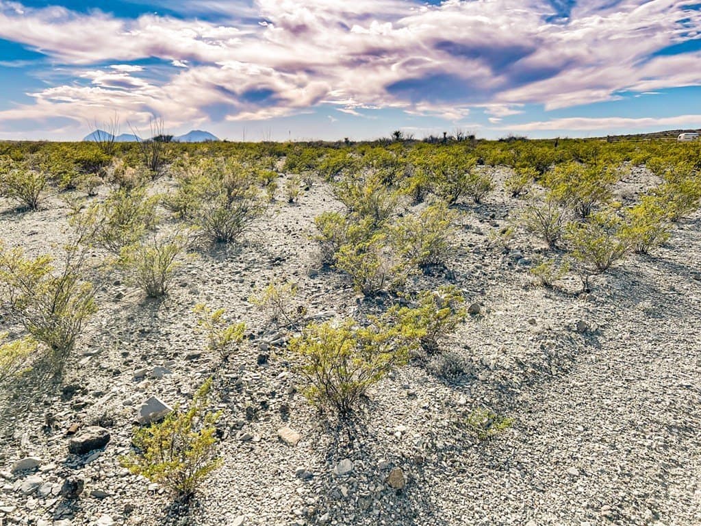 20 acres in Brewster County - photo 29