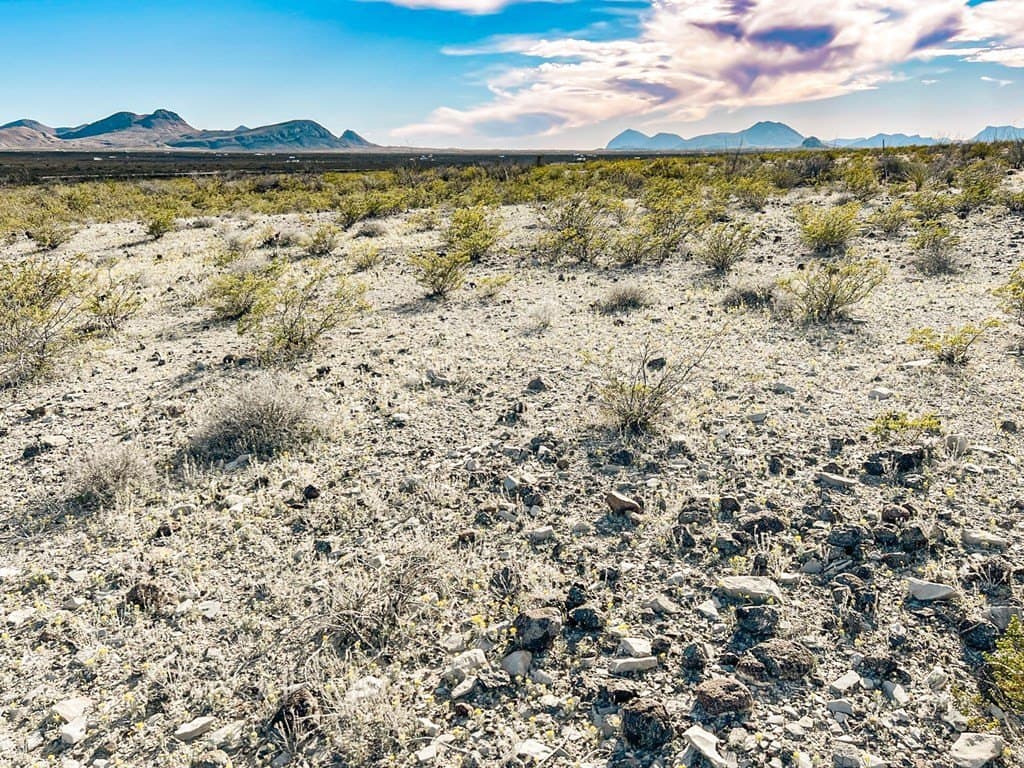 20 acres in Brewster County - photo 42