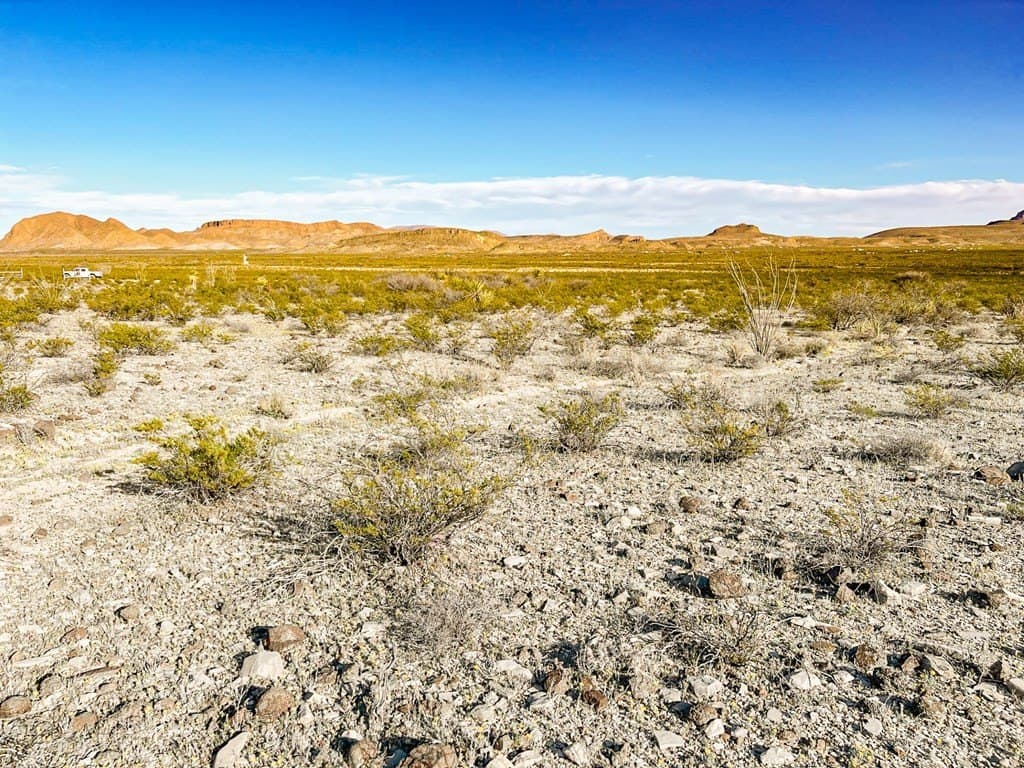 20 acres in Brewster County - photo 44