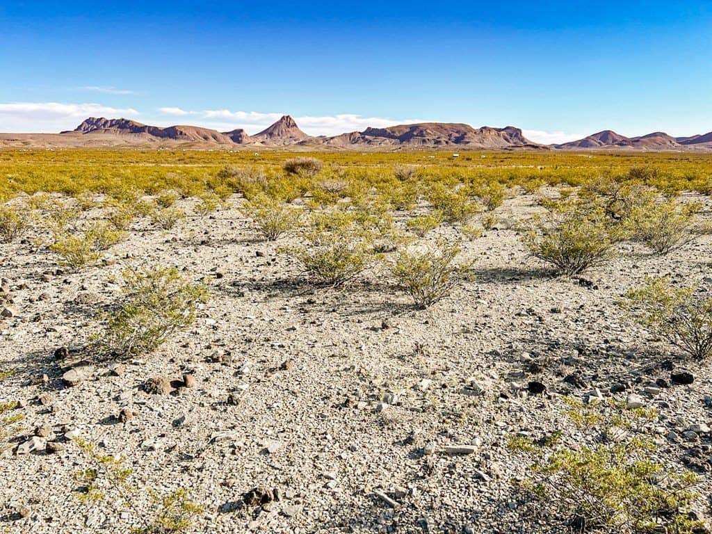 20 acres in Brewster County - photo 4