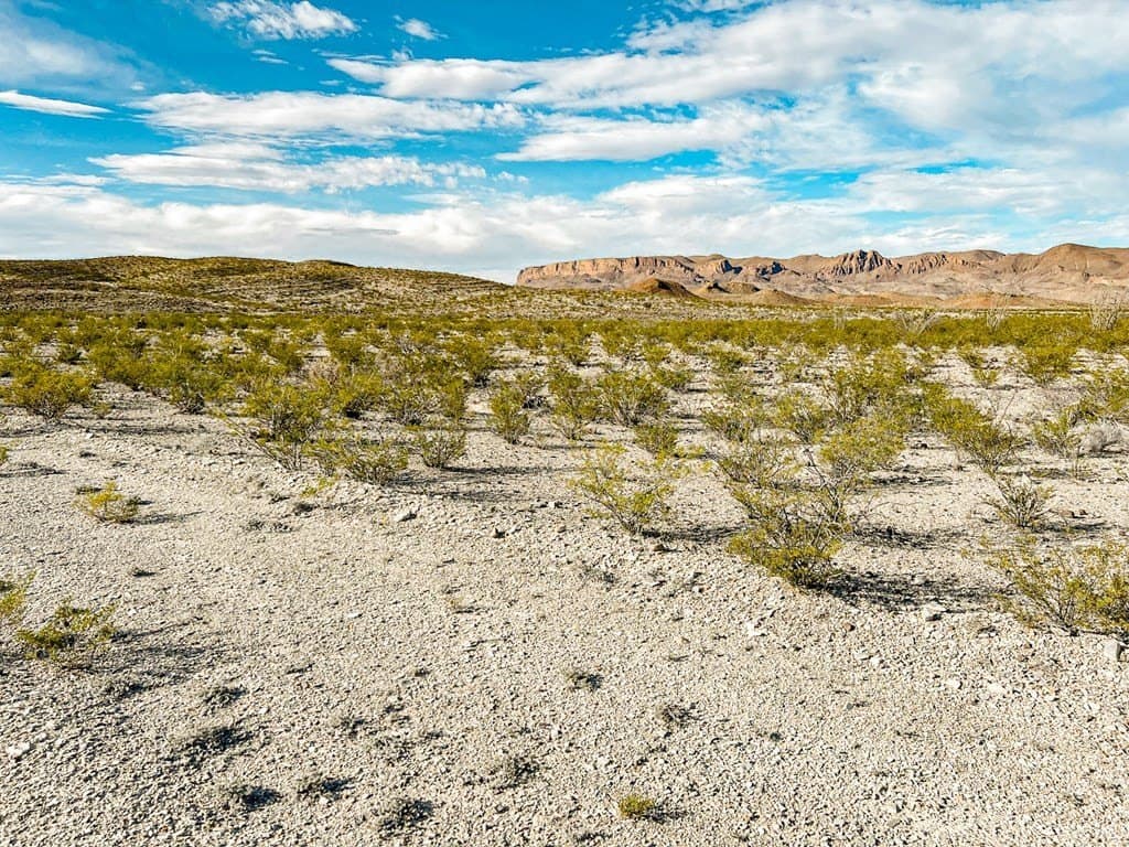 20 acres in Brewster County - photo 31