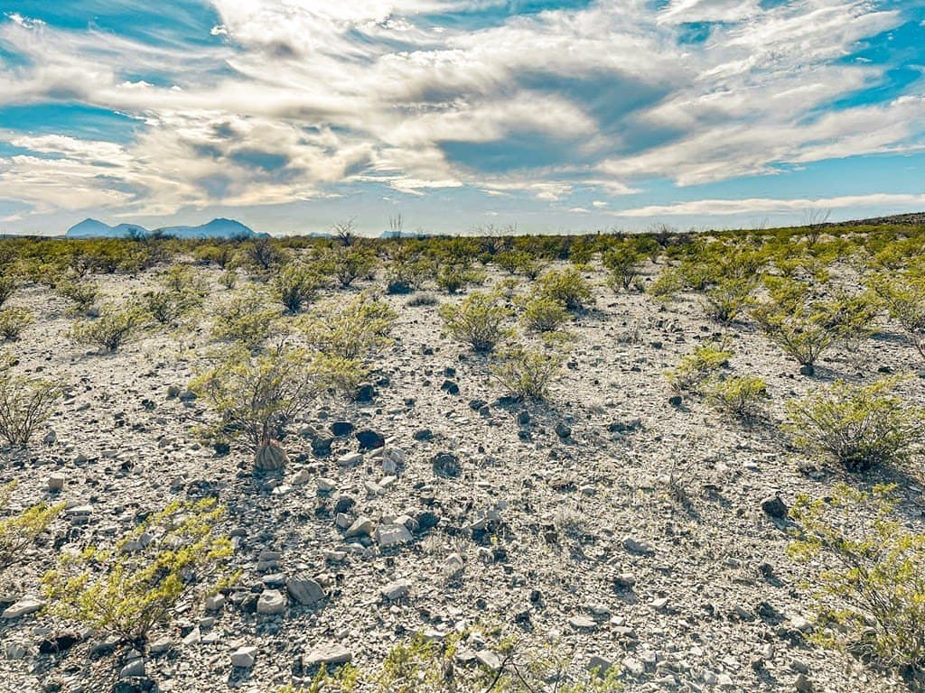 20 acres in Brewster County - photo 37