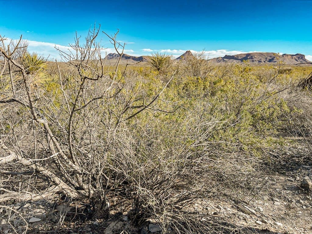 20 acres in Brewster County - photo 34