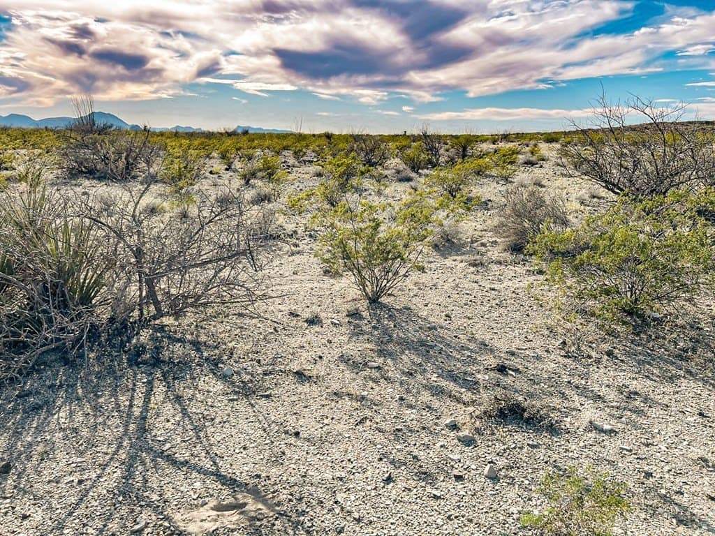 20 acres in Brewster County - photo 41
