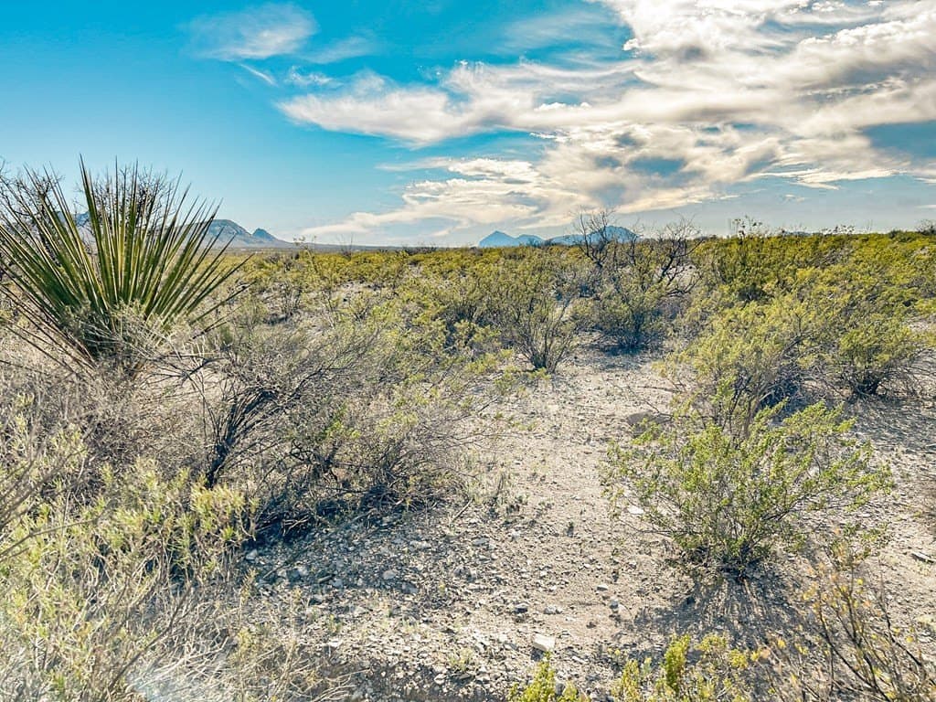 20 acres in Brewster County - photo 36