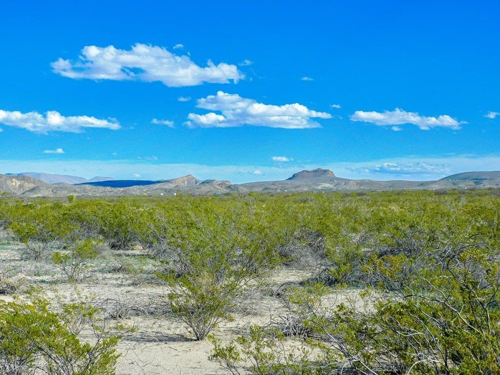 20 acres in Brewster County - photo 19