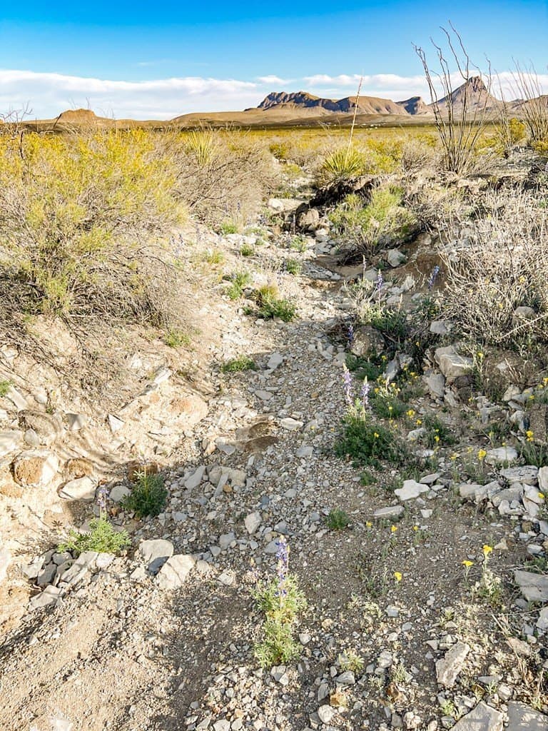 20 acres in Brewster County - photo 47