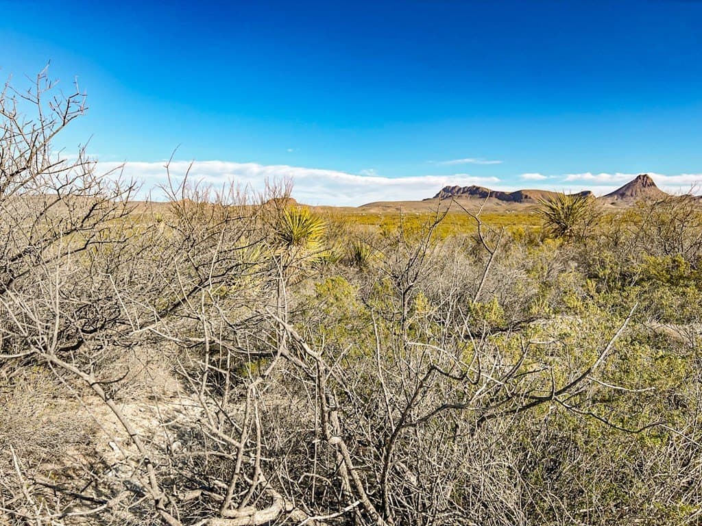 20 acres in Brewster County - photo 35