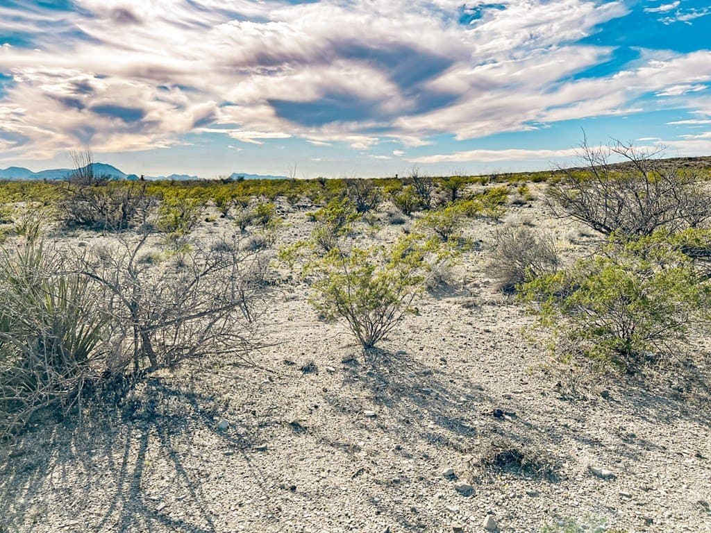 20 acres in Brewster County - photo 40