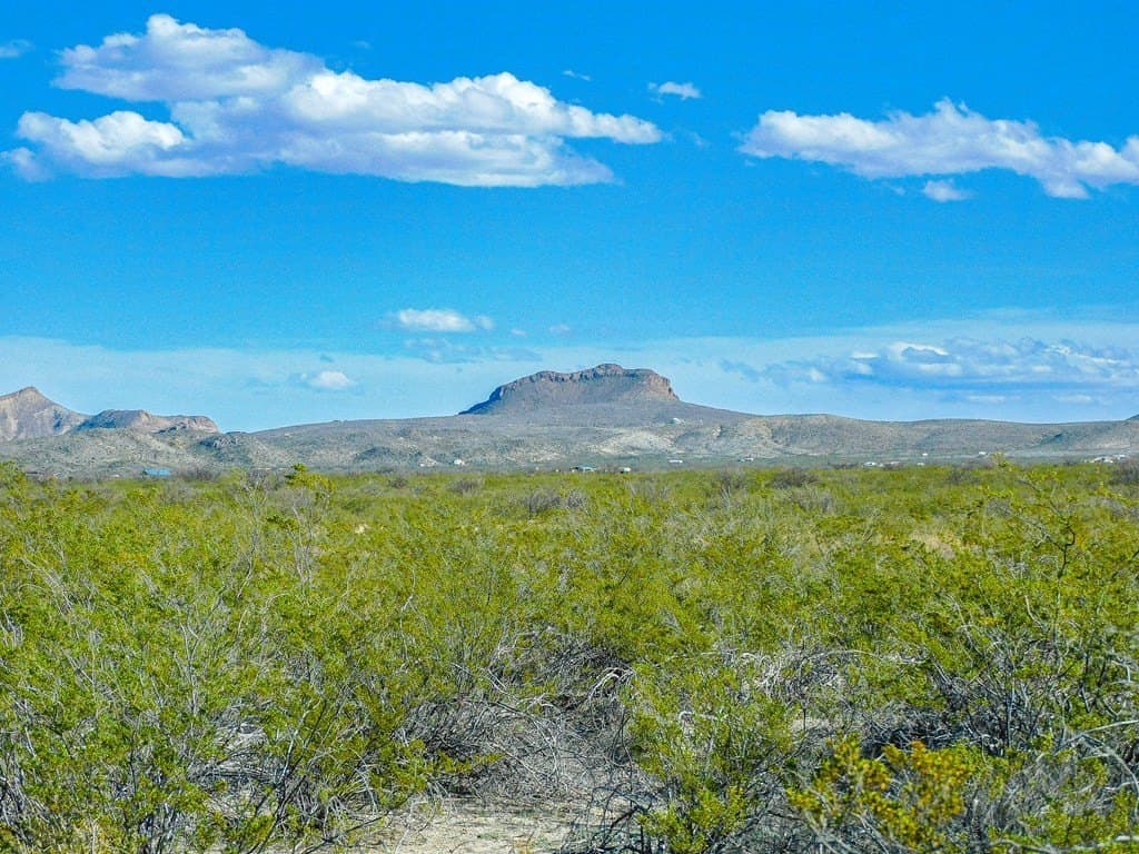 20 acres in Brewster County - photo 11