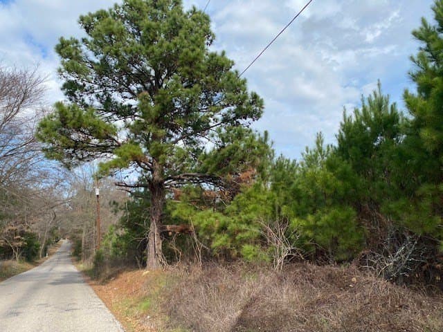 15.53 acres in Henderson County - photo 4