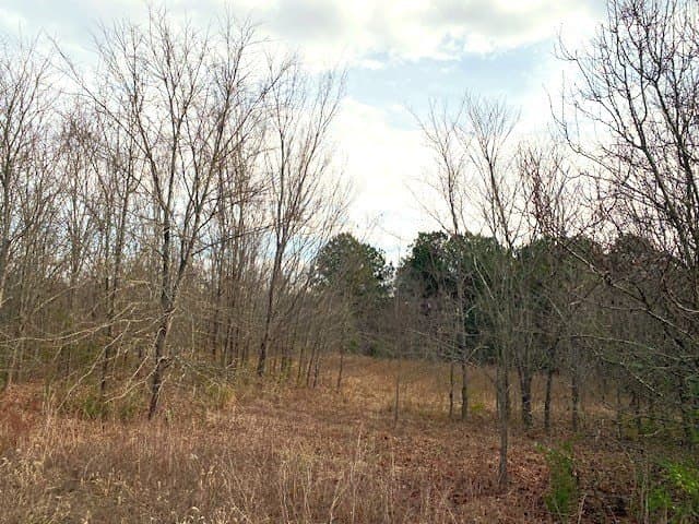 15.53 acres in Henderson County - photo 2