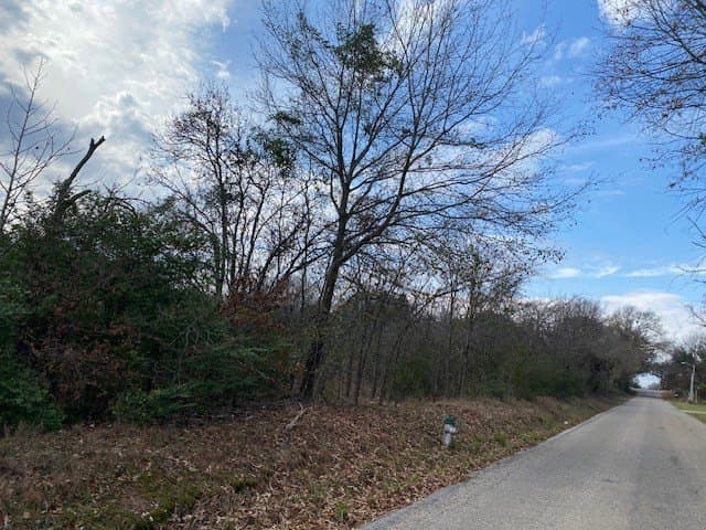 15.53 acres in Henderson County - photo 6