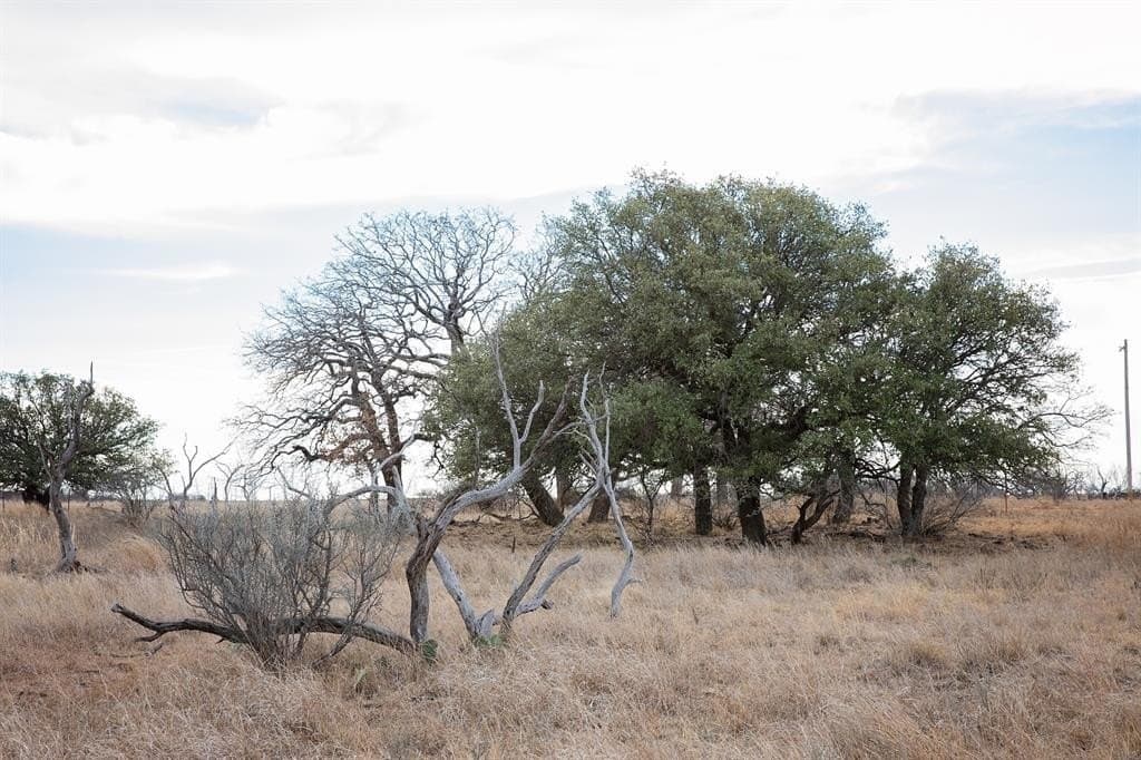 533 acres in Young County - photo 25