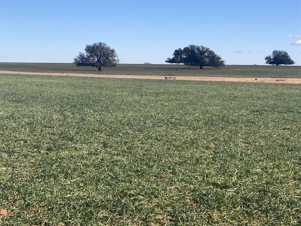 533 acres in Young County - photo 3