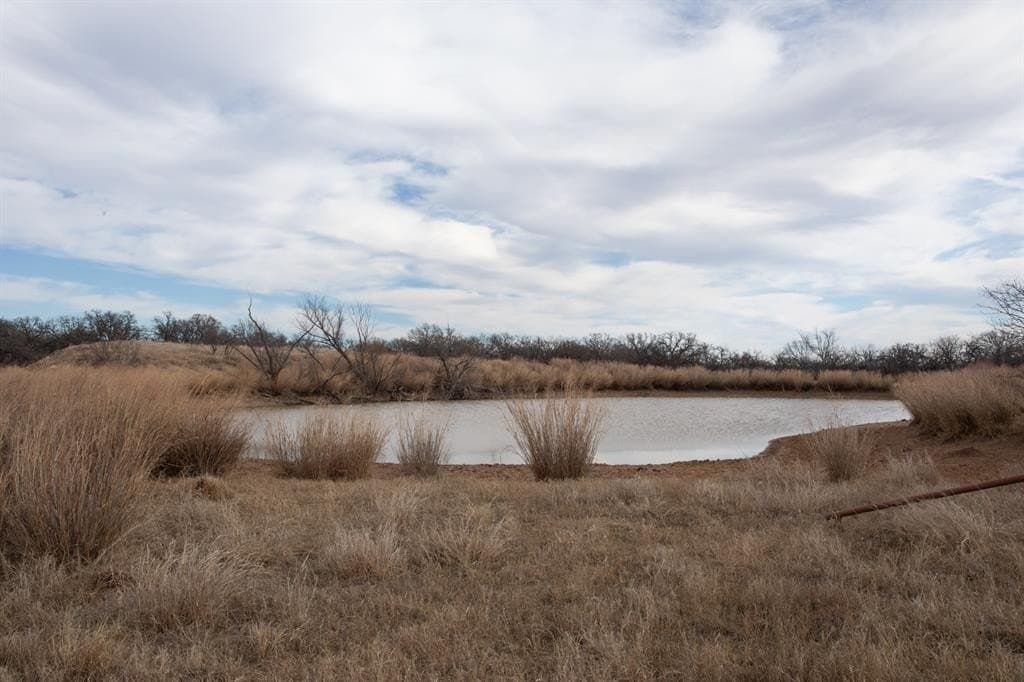 533 acres in Young County - photo 26
