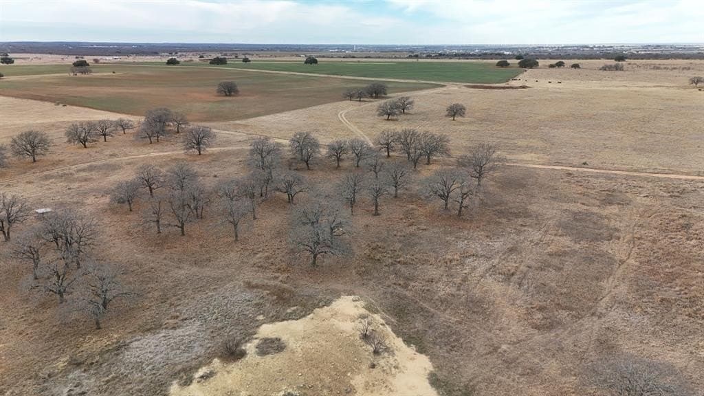 533 acres in Young County - photo 16