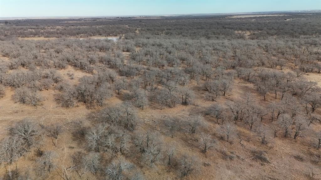 533 acres in Young County - photo 22