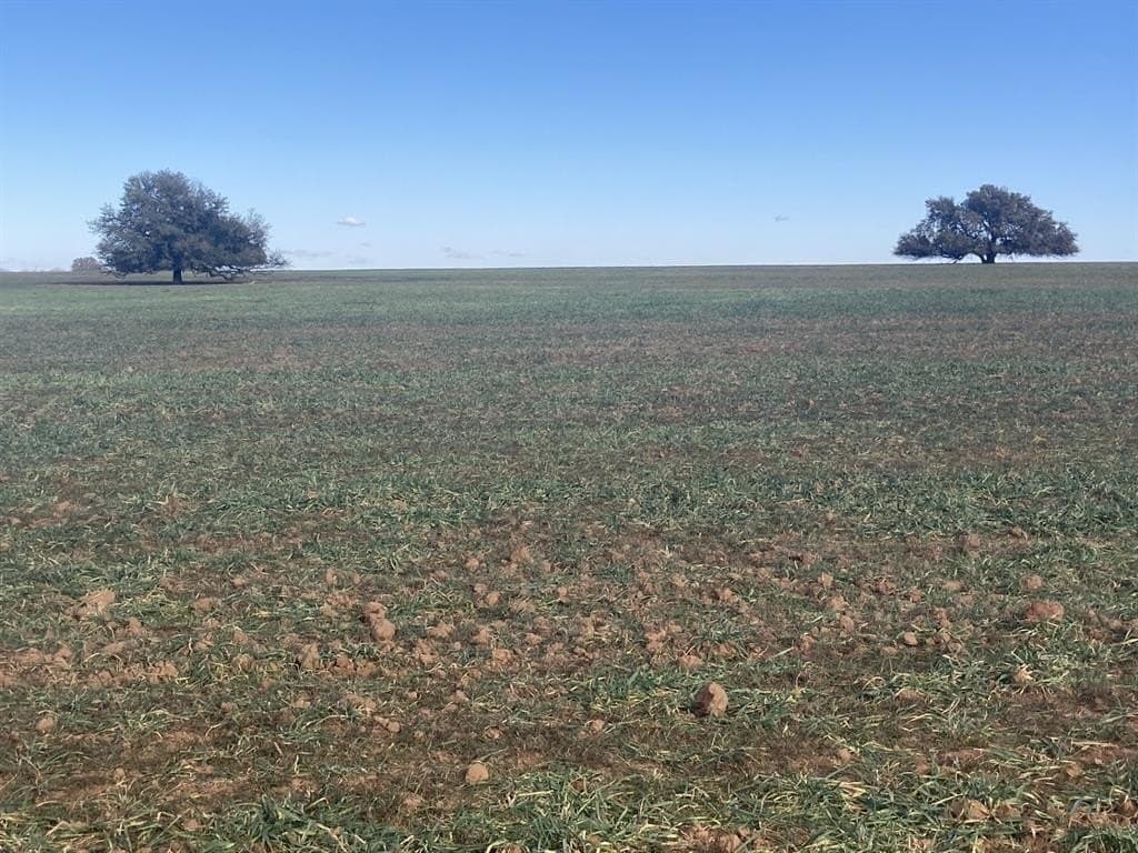 533 acres in Young County - photo 13