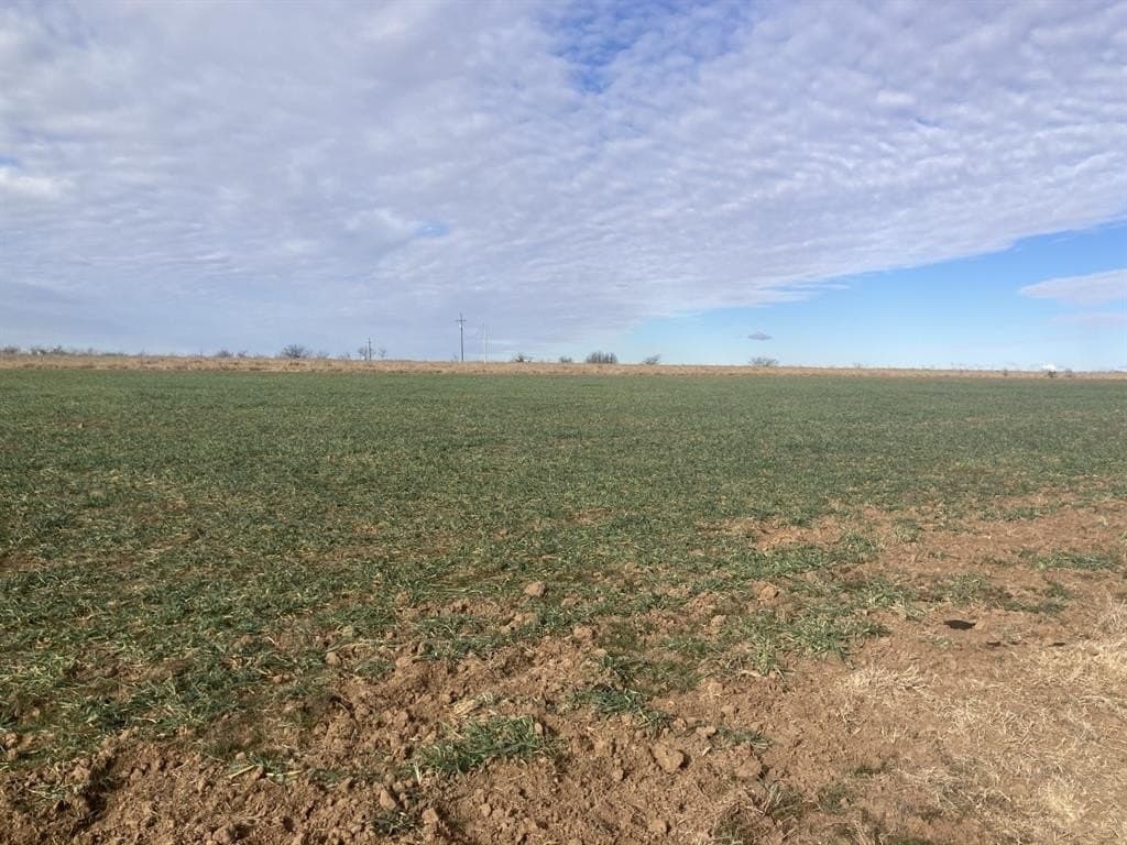 533 acres in Young County - photo 28