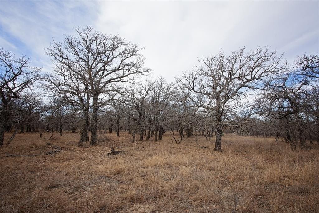 533 acres in Young County - photo 20