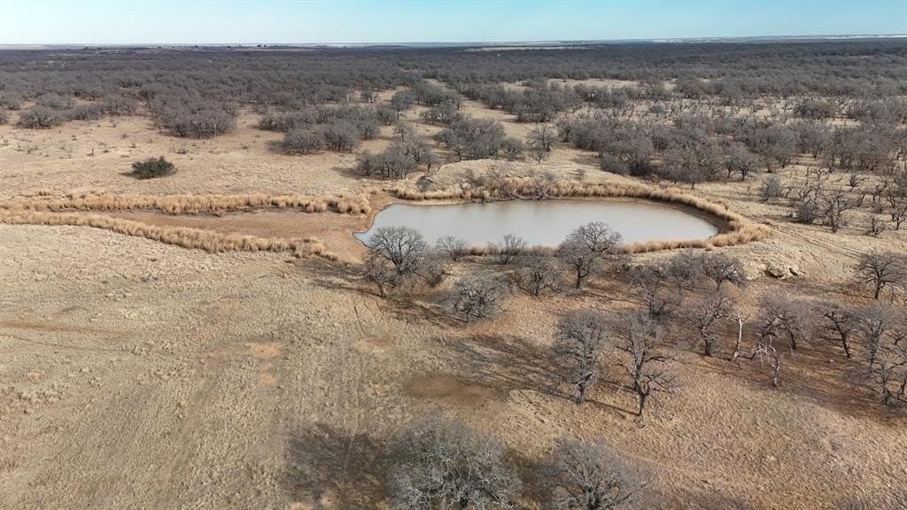 533 acres in Young County - photo 7