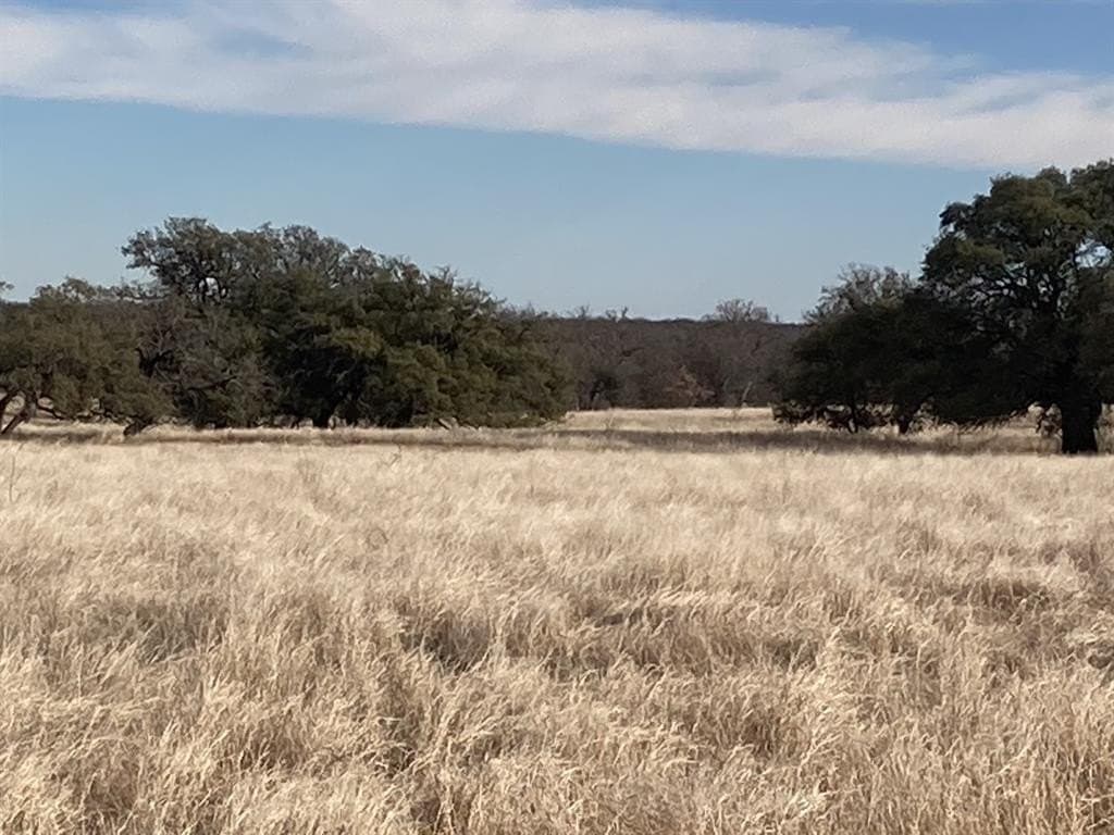 533 acres in Young County - photo 11