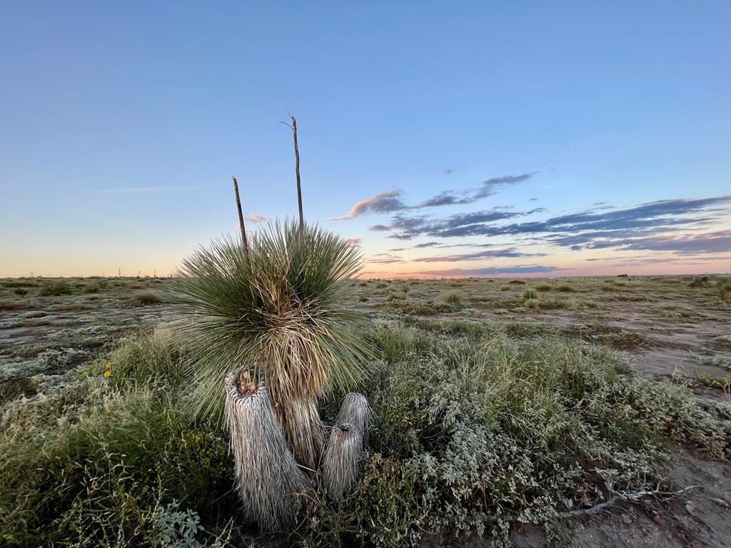 5 acres in Presidio County - photo 4