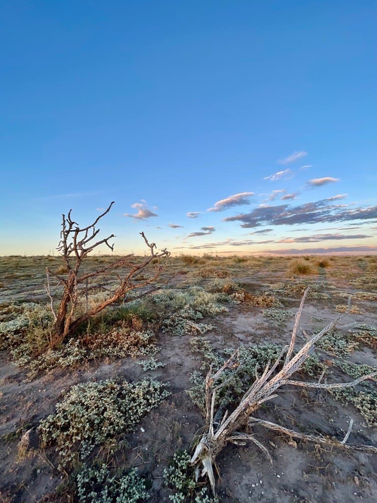 5 acres in Presidio County - photo 5