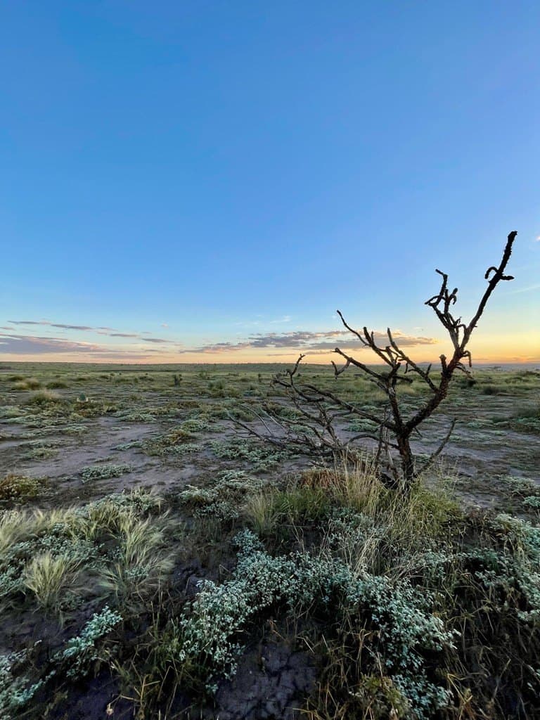 5 acres in Presidio County - photo 8