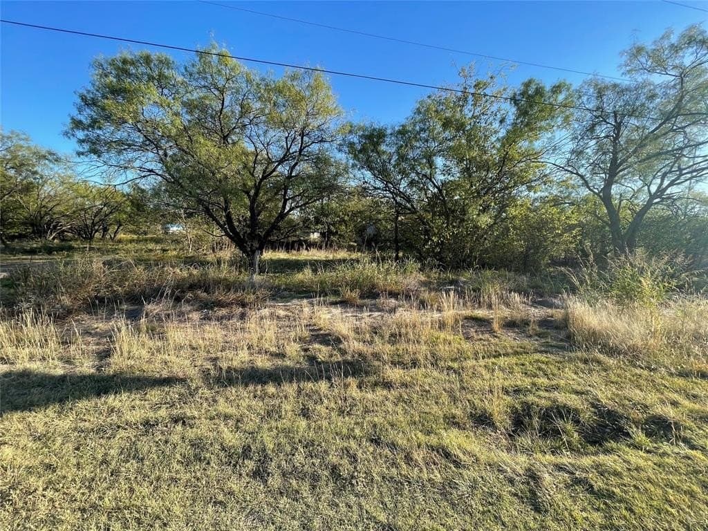2.7 acres in Shackelford County - photo 3
