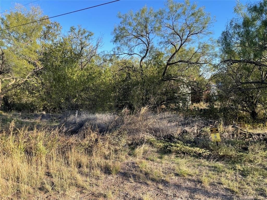 2.7 acres in Shackelford County - photo 2